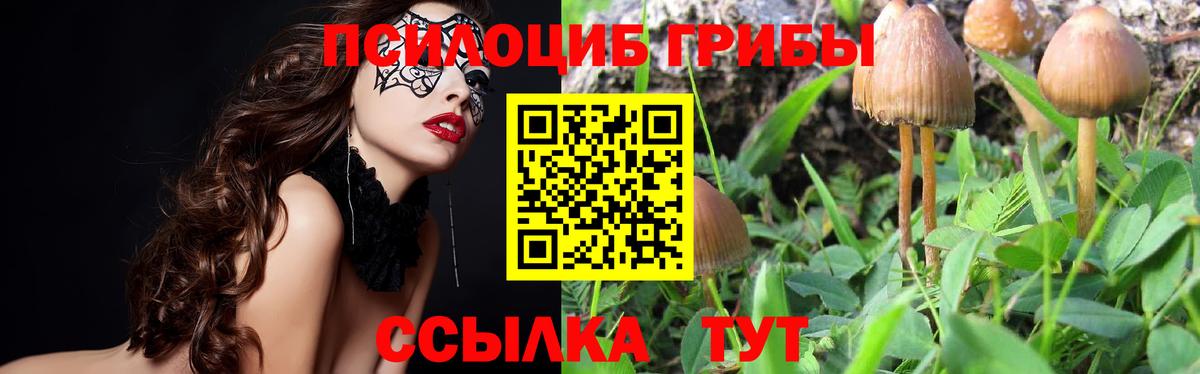Галлюциногенные грибы прущие грибы  Вход с VPN  Люберцы 